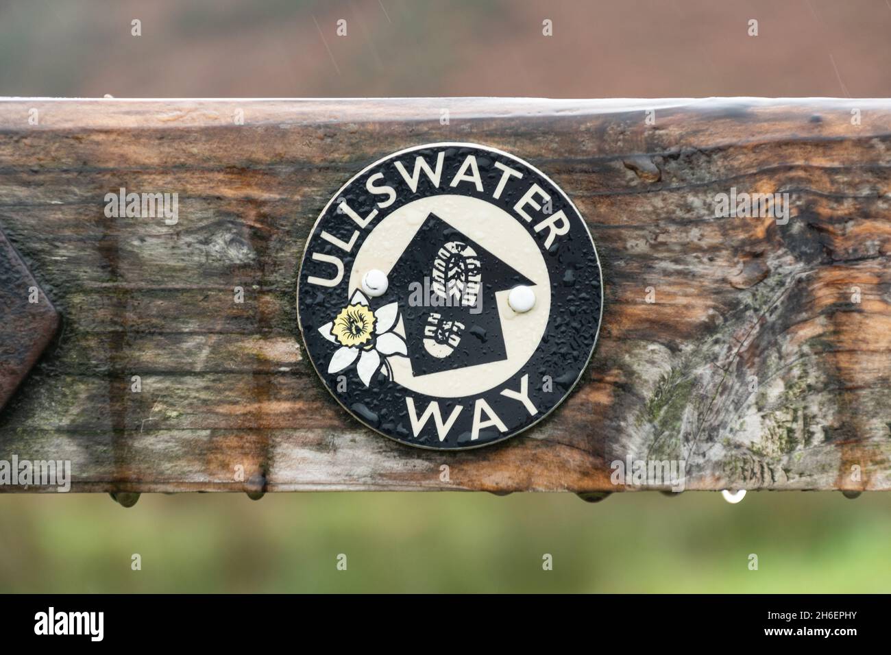 Panneau de sentier Ullswater Way lors d'un jour de pluie dans le Lake District de Cumbria, Angleterre, Royaume-Uni Banque D'Images