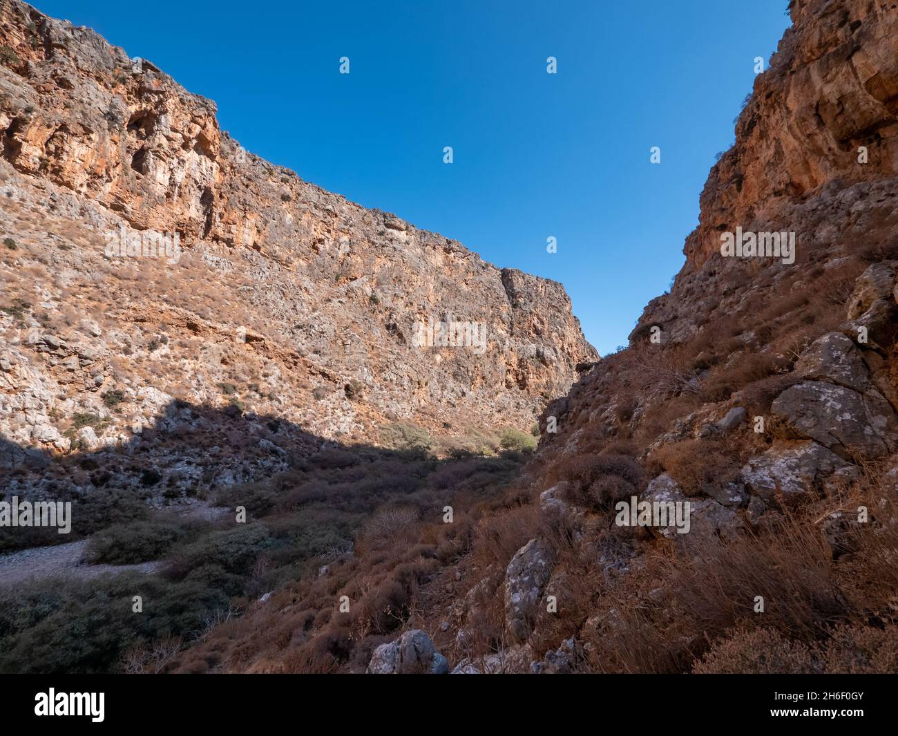 Wadi, gorge sèche avec quelques plantes et arbres Banque D'Images