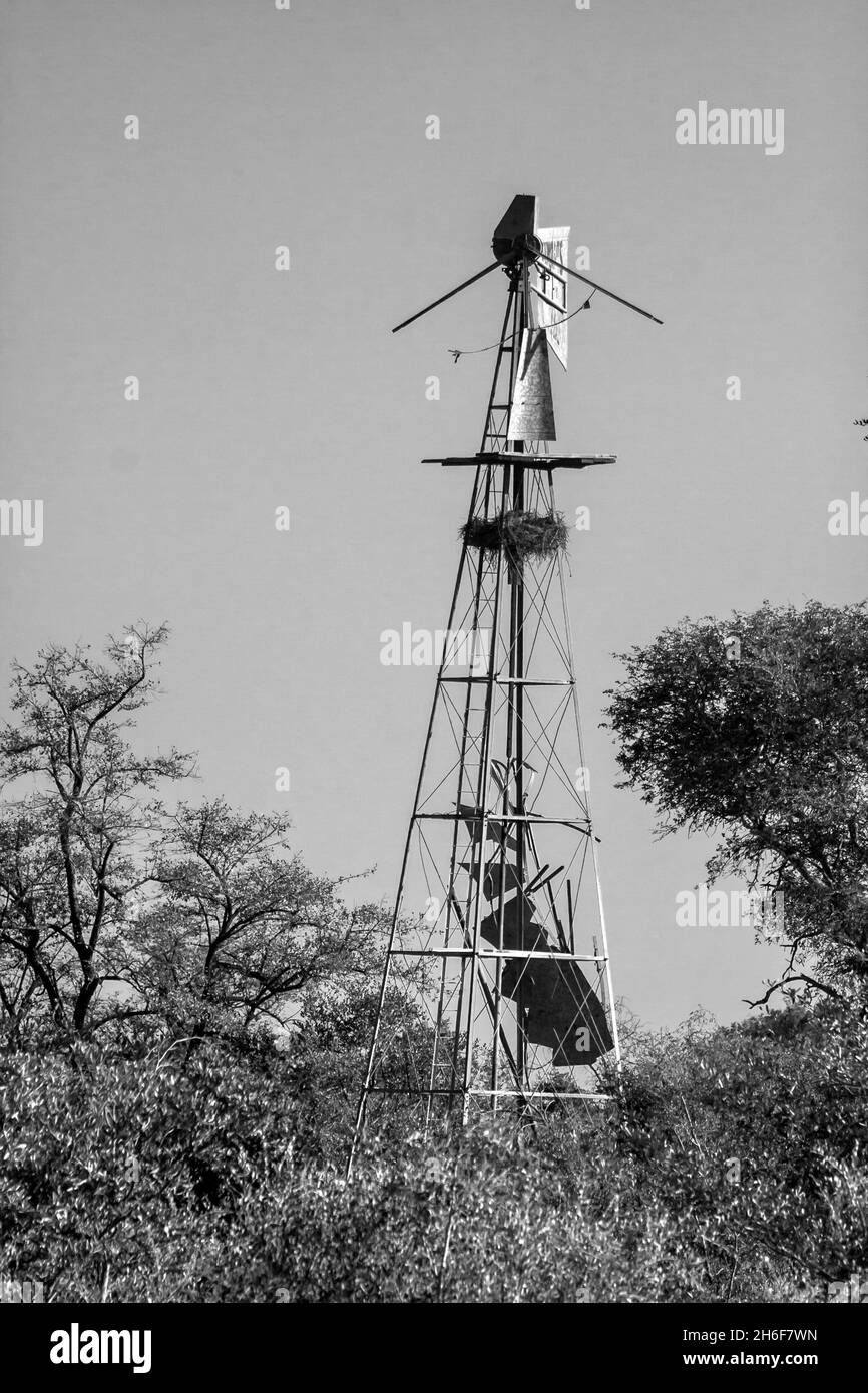 Une ancienne pompe de moulin à vent cassée, à un point d'eau ancien dans le parc national Kruger d'Afrique du Sud, en noir et blanc Banque D'Images
