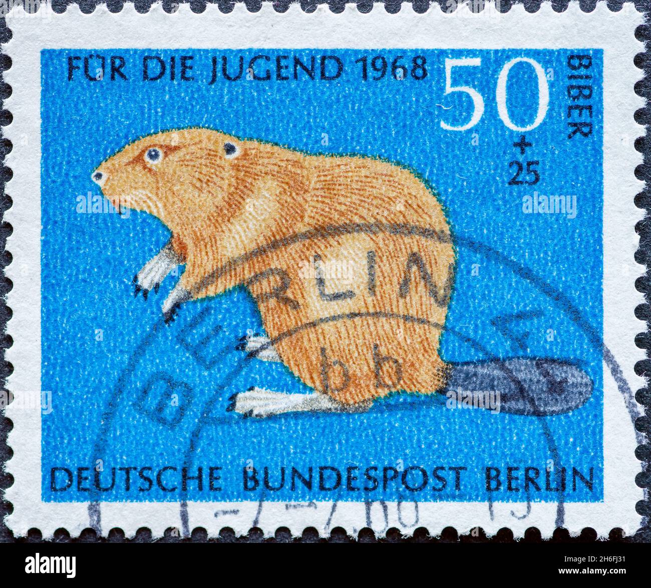 ALLEMAGNE, Berlin - VERS 1968: Timbre-poste de l'Allemagne, Berlin montrant des animaux sauvages rares. beaver. Timbre-poste de charité pour les jeunes Banque D'Images