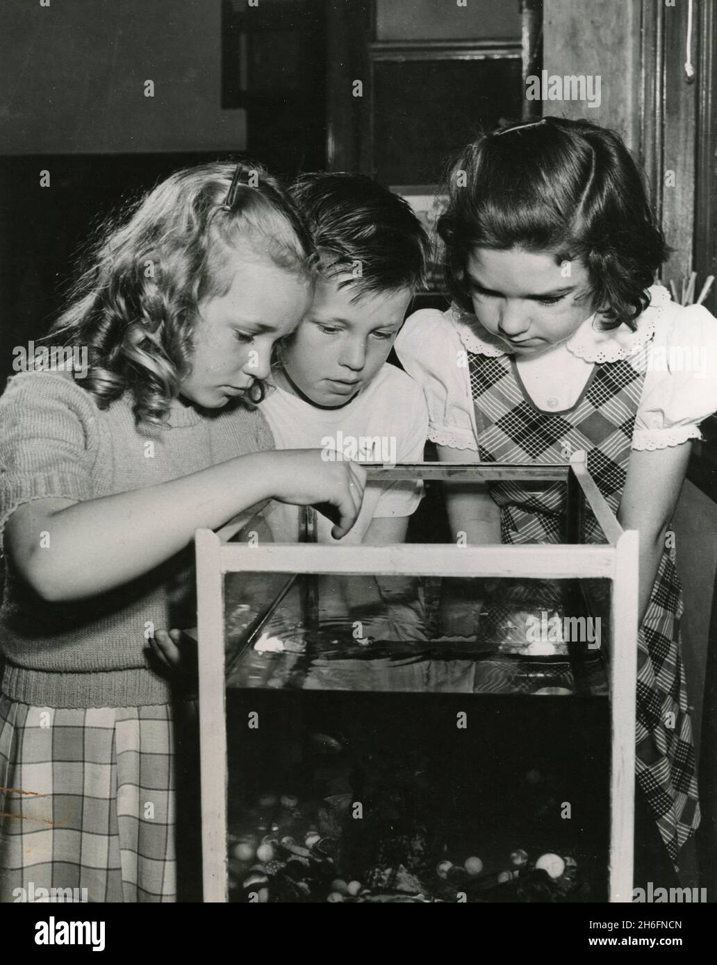 Enseignement des sciences naturelles aux enfants à partir d'un acquarium, États-Unis 1953 Banque D'Images