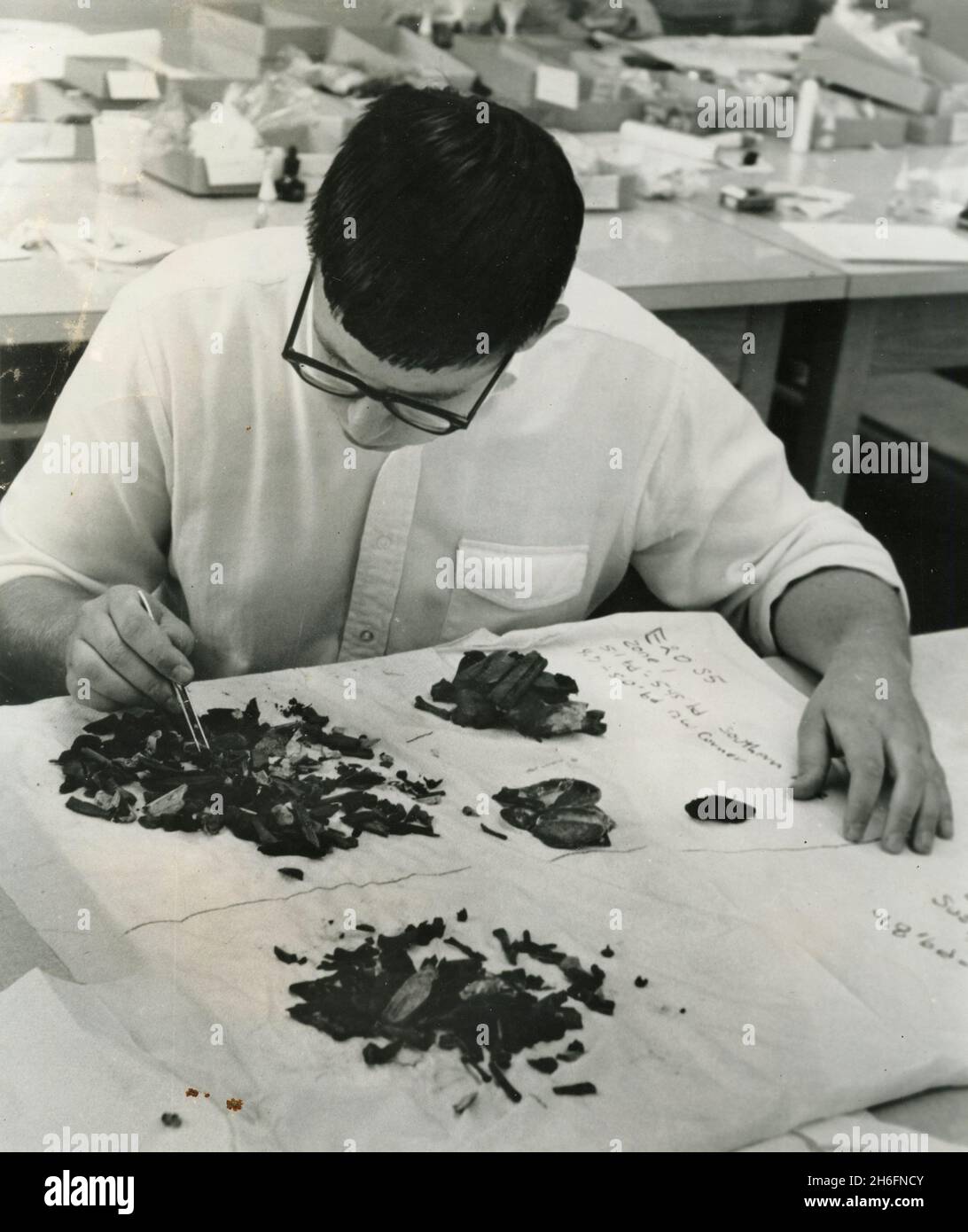 Étudiant en archéologie travaillant dans la nouvelle salle scientifique de Juniata College, Huntingdon, Penn, USA 1967 Banque D'Images