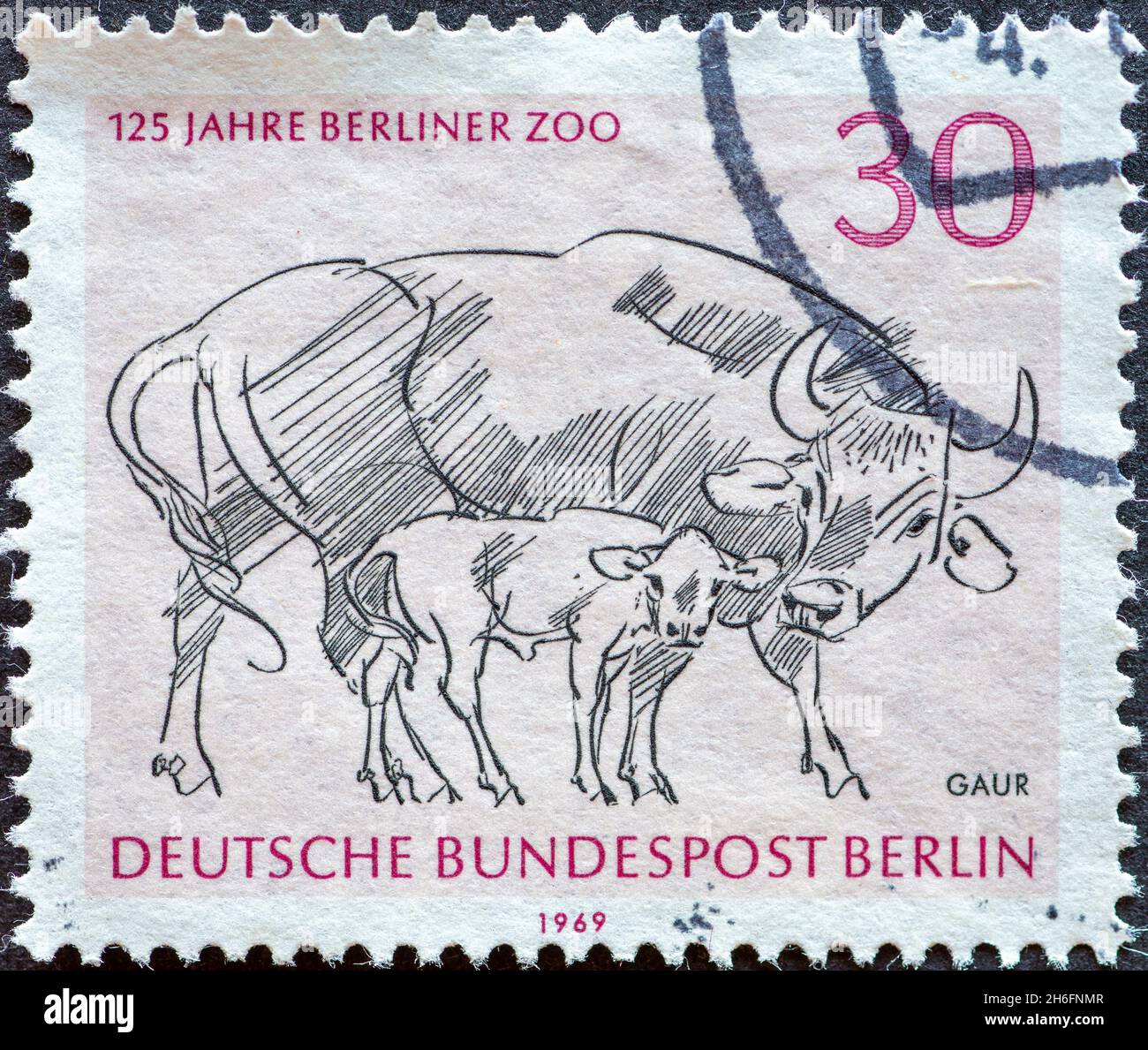 ALLEMAGNE, Berlin - VERS 1969: Timbre-poste d'Allemagne, Berlin montrant un dessin à l'occasion: 125 ans de zoo de Berlin.Animal: gaur Banque D'Images
