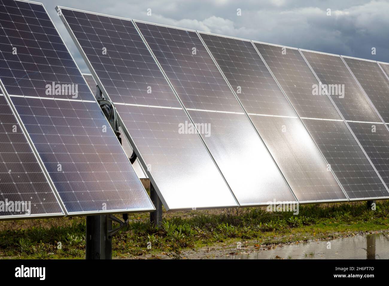 Solar Farm, Mid-Michigan, Etats-Unis, par James D Coppinger/Dembinsky photo Assoc Banque D'Images