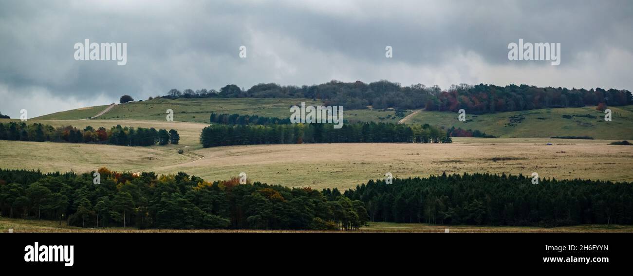 Vue panoramique panoramique sur la colline de Sidbury avec champs ouverts, prairies et plusieurs lignes de cosse de bois sous les nuages sombres en colère, Tidworth Wiltsh Banque D'Images