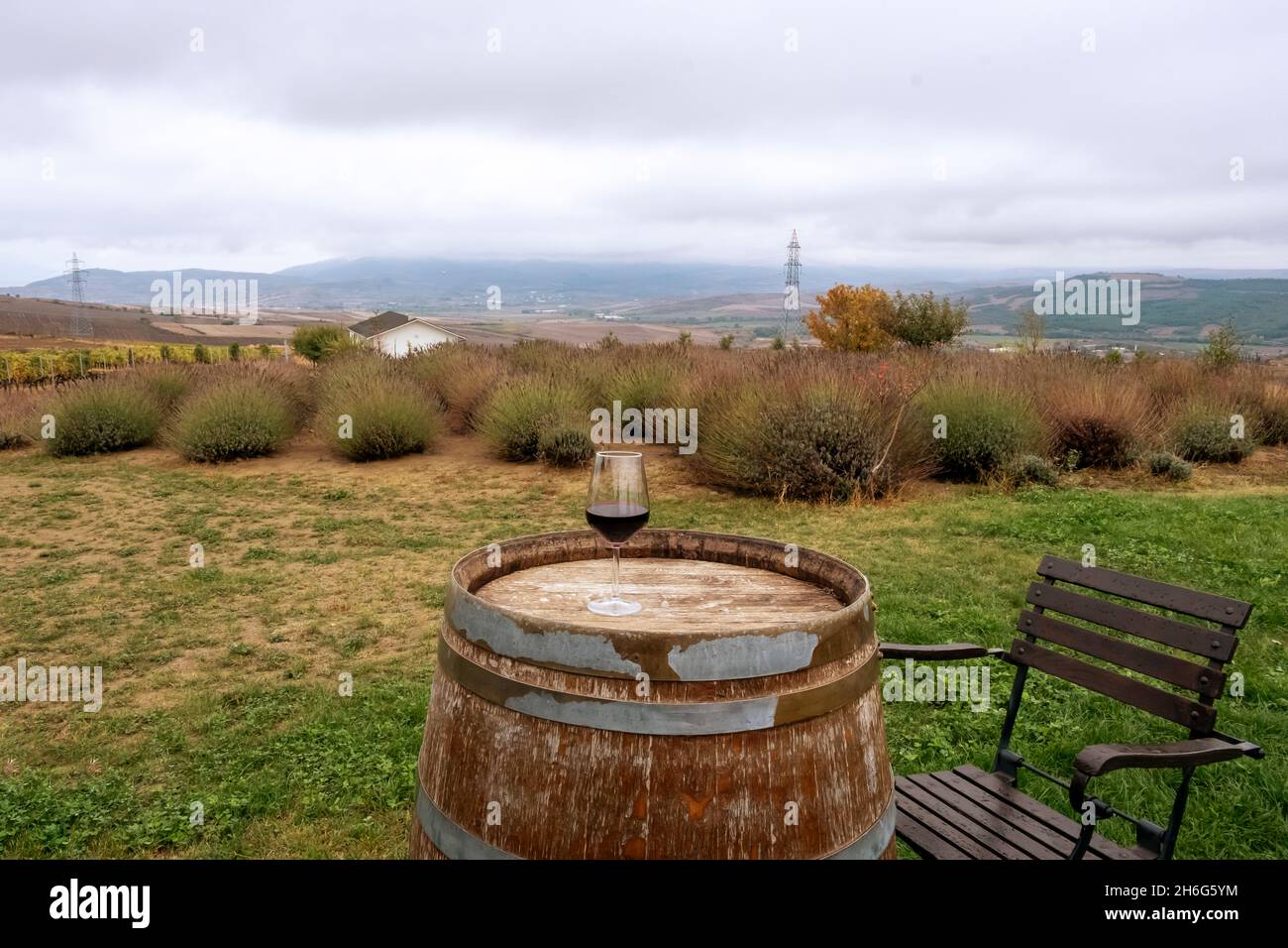 verre à vin sur baril à vin, vue de face Banque D'Images