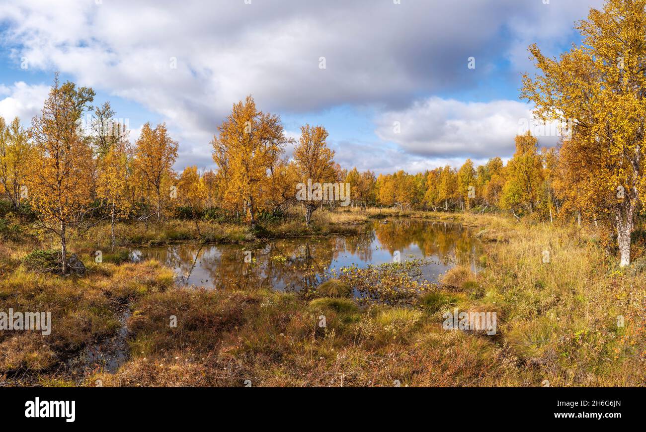 Vivacité de l'étang d'automne dans la nature sauvage éloignée du parc national de Pieljekaise Banque D'Images