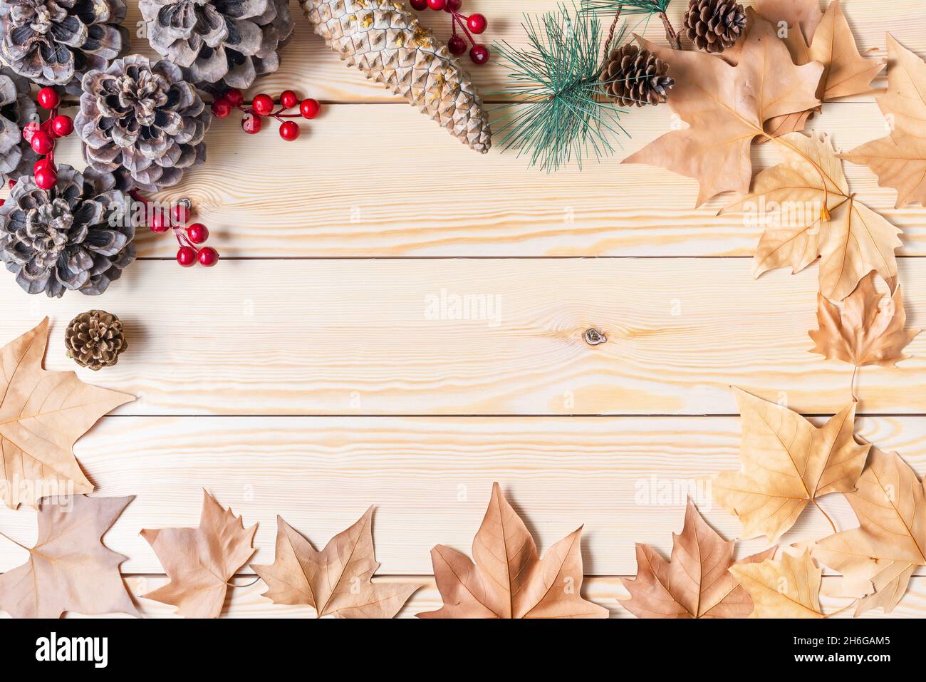 Cadre de Noël traditionnel fait de bois de pin avec des feuilles séchées, des cônes de pin et de GUI avec un espace central pour mettre des messages de Noël, vente messag Banque D'Images