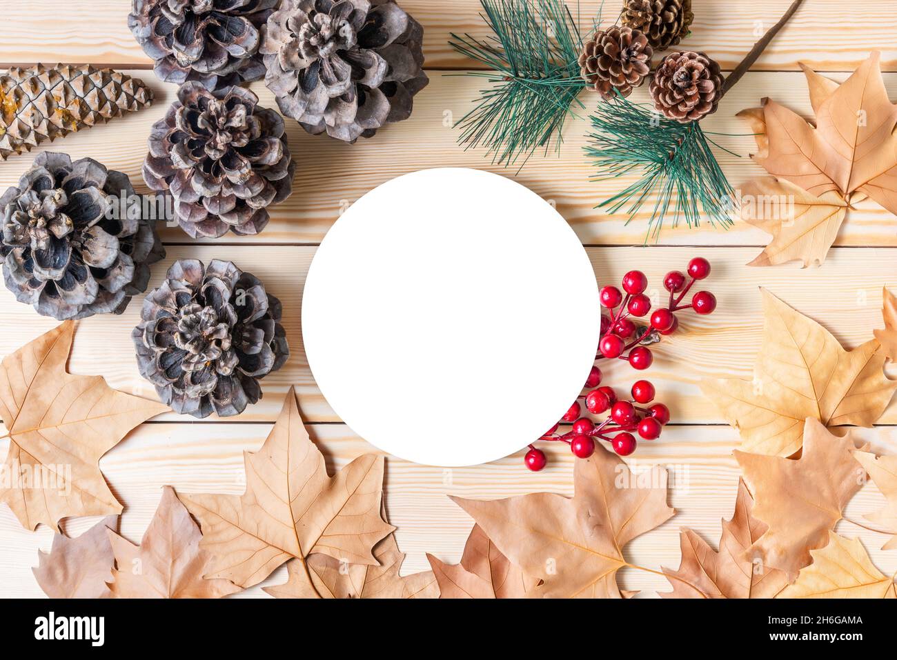 Arrière-plan traditionnel de Noël de bois de pin avec feuilles séchées, pommes de pin et GUI avec un cercle blanc central pour placer des messages de Noël, vente Banque D'Images