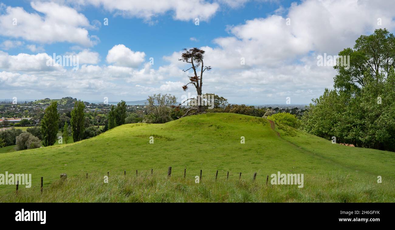Obélisque sur une colline arborescente à Auckland, Nouvelle-Zélande Banque D'Images