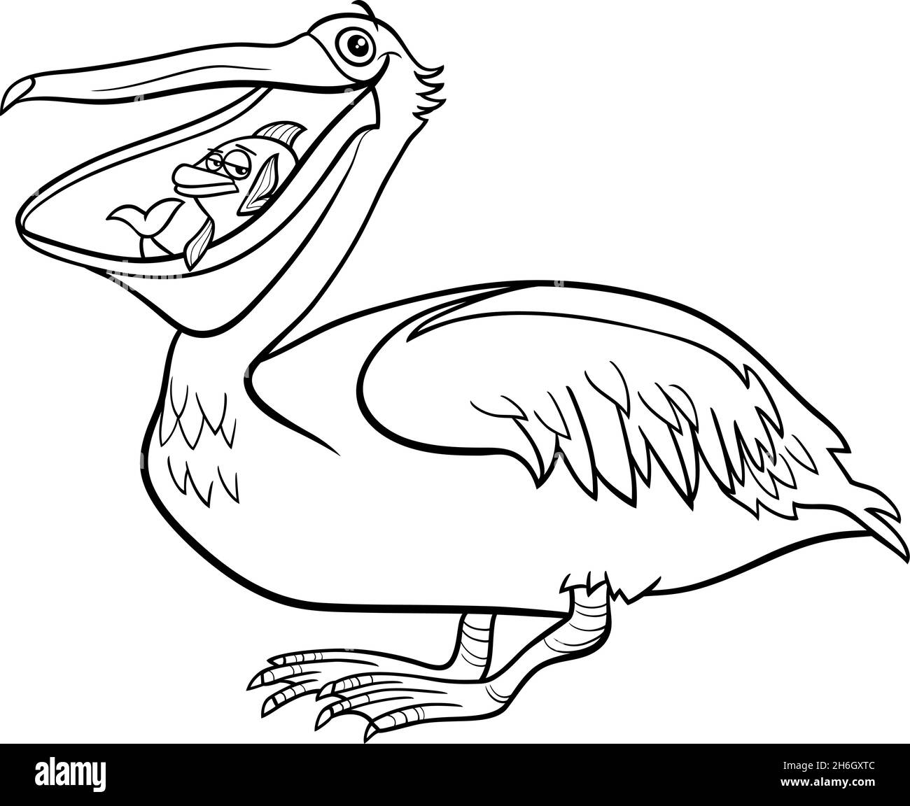 Dessin animé noir et blanc illustration de caractère animal d'oiseau pélican drôle avec page de livre de coloriage de poisson Illustration de Vecteur
