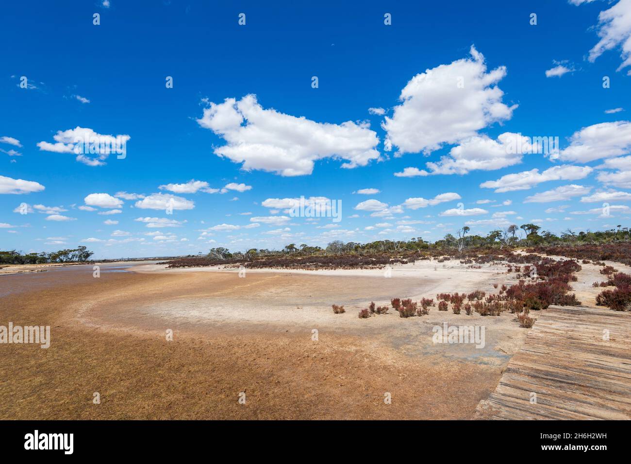 Vue panoramique sur un lac salé près du lac Grace, Australie occidentale, Australie occidentale, Australie occidentale Banque D'Images