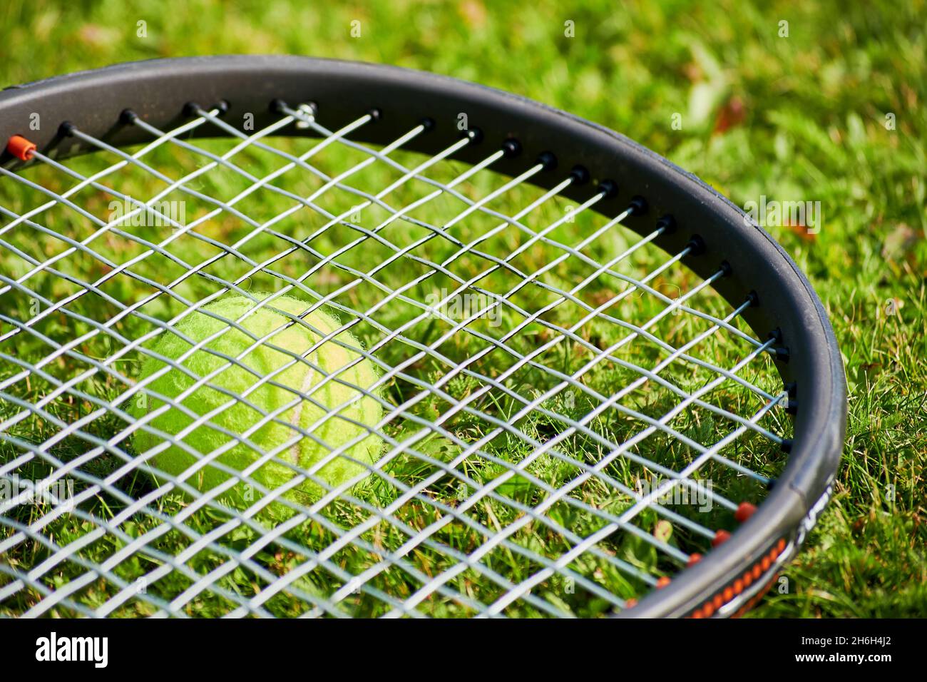 Une raquette de tennis et une balle jaune sur le terrain d'herbe.Sports individuels et jeux en plein air Banque D'Images