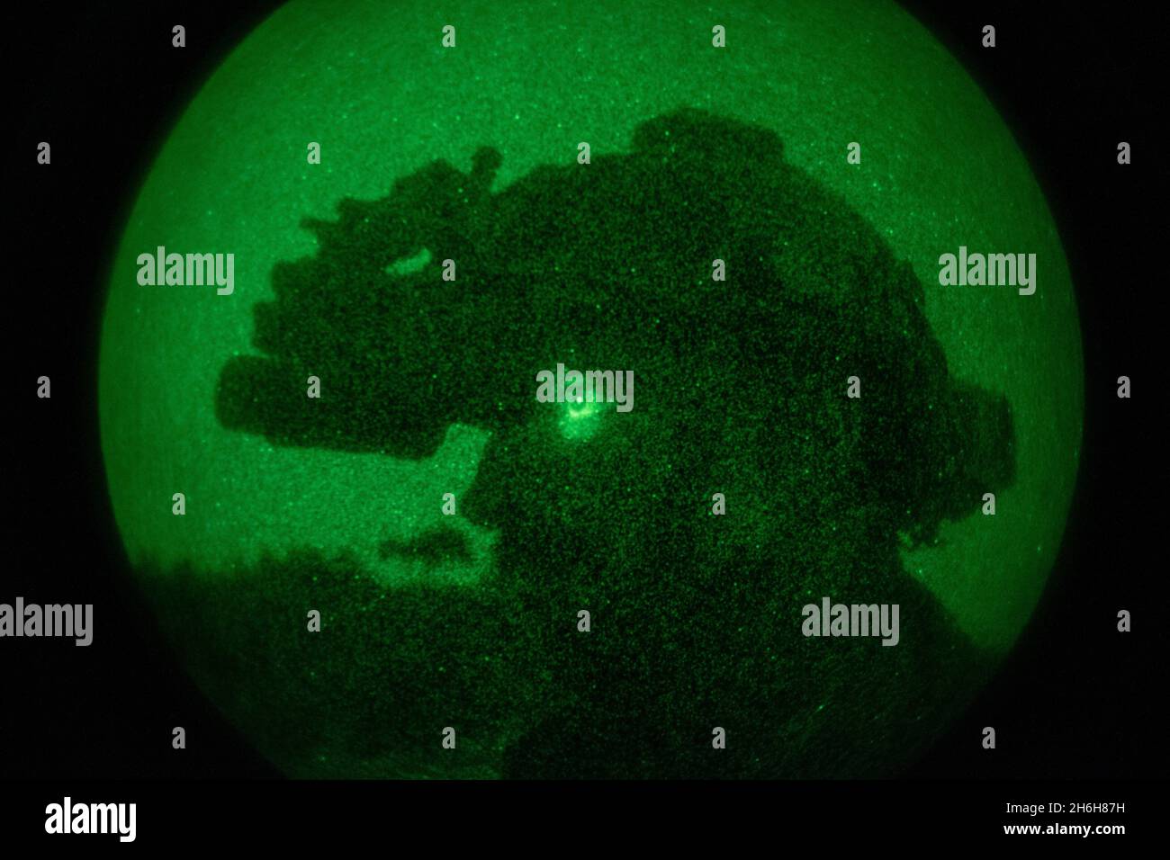 Une marine américaine avec 3d reconnaissance Battalion, 3D Marine Division, assure la sécurité pendant une aire de démolition à Okinawa, Japon, 5 novembre 2021.Marines a mené une formation sur la gamme de démolition dans le cadre de son évaluation de la préparation au combat du corps des Marines, en se concentrant sur diverses méthodes d'insertion et d'extraction, sur l'emploi constant des communications et sur la confiance accrue.(É.-U.Photo du corps marin par lance Cpl.Diana Jimenez) Banque D'Images