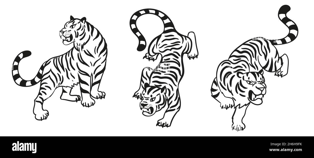 Jeu de tigres graphiques.Noir et blanc Collection de chats sauvages prédateurs.Illustration vectorielle isolée sur fond blanc Illustration de Vecteur