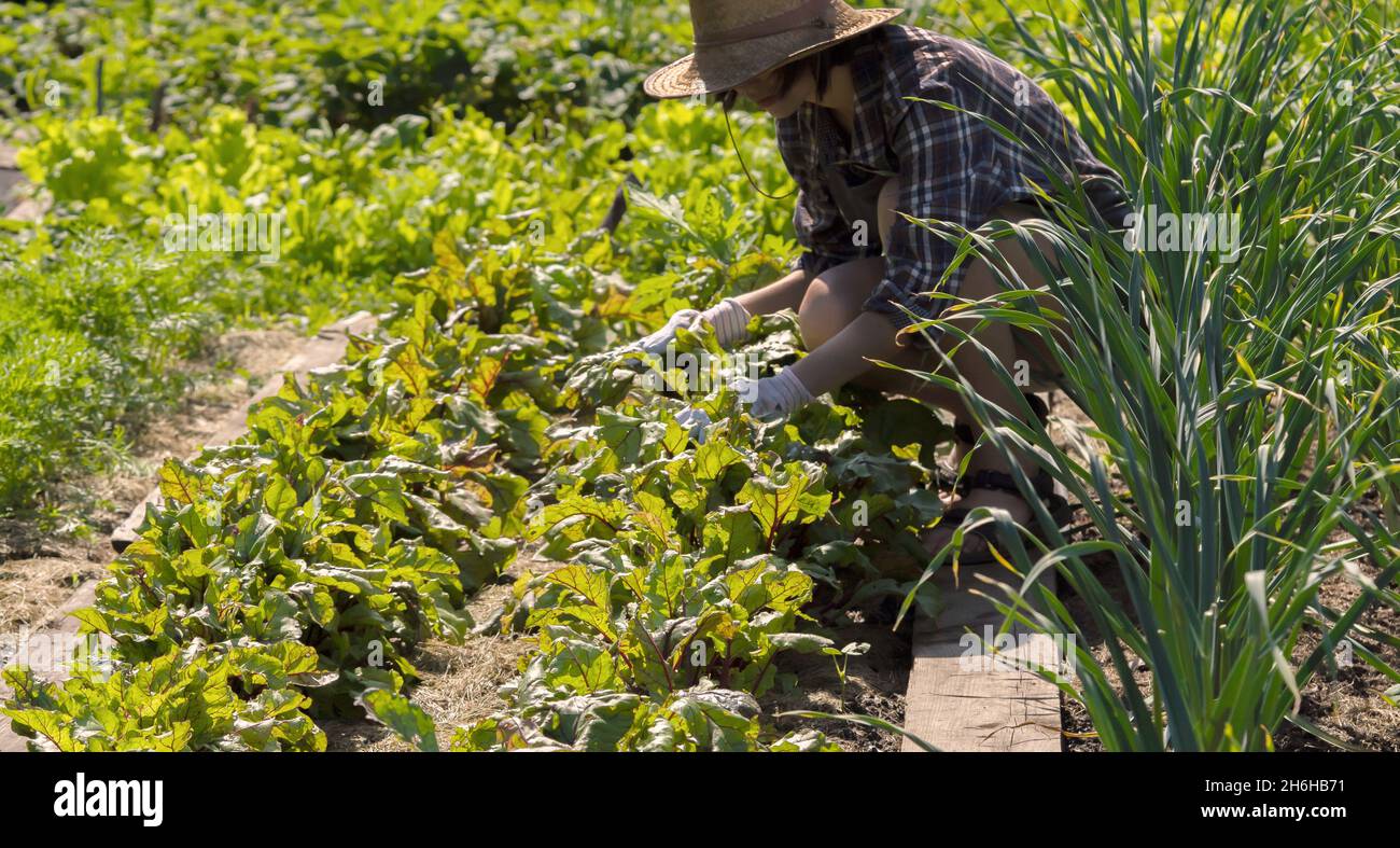 Une jeune fille dans un chapeau de paille est engagé dans le travail de jardinage. Banque D'Images