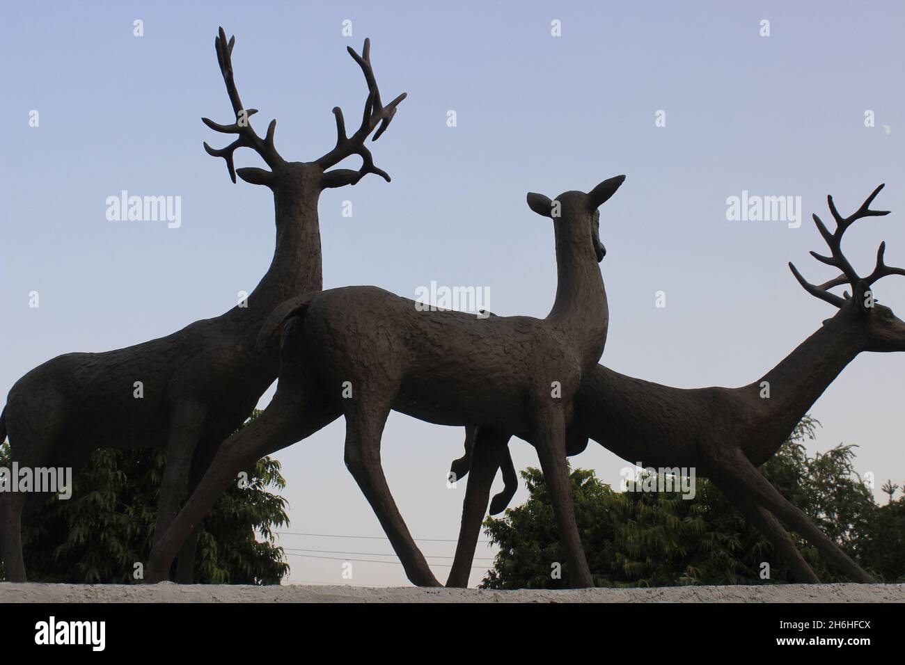 Une photo de statues de cerfs avec sélective Banque D'Images