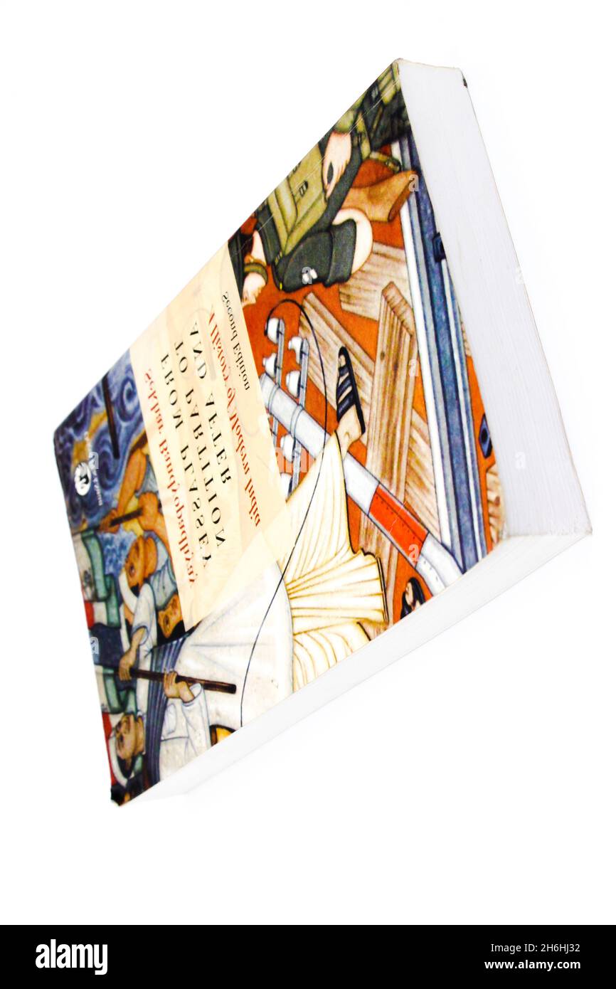 Noida , Sutter pardesh , Inde - octobre 17 2021 , Histoire de morden inde livre , Histoire de l'Inde moderne livre sur fond blanc avec une attention sélective Banque D'Images