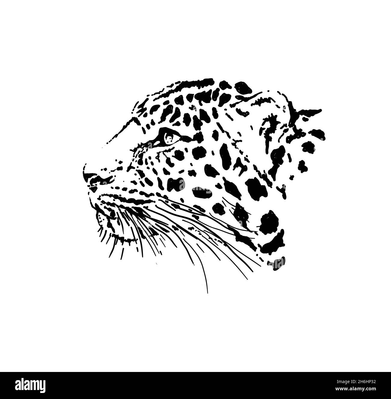 illustration graphique et vecteur de la tête leopard en noir et blanc Illustration de Vecteur
