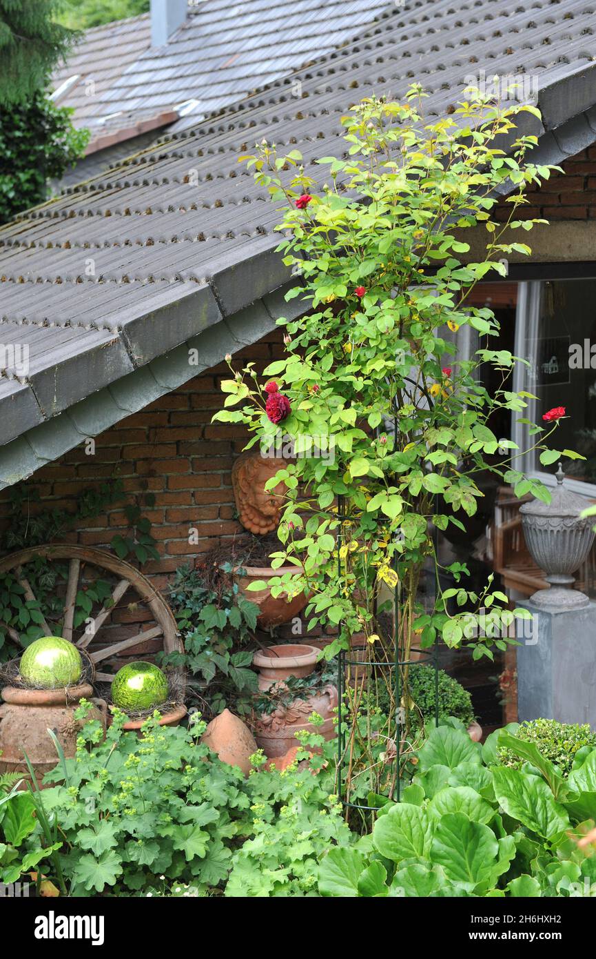 SOLINGEN, ALLEMAGNE - 15 JUIN 2013 : décoration du jardin allemand Ulbrich en juin Banque D'Images