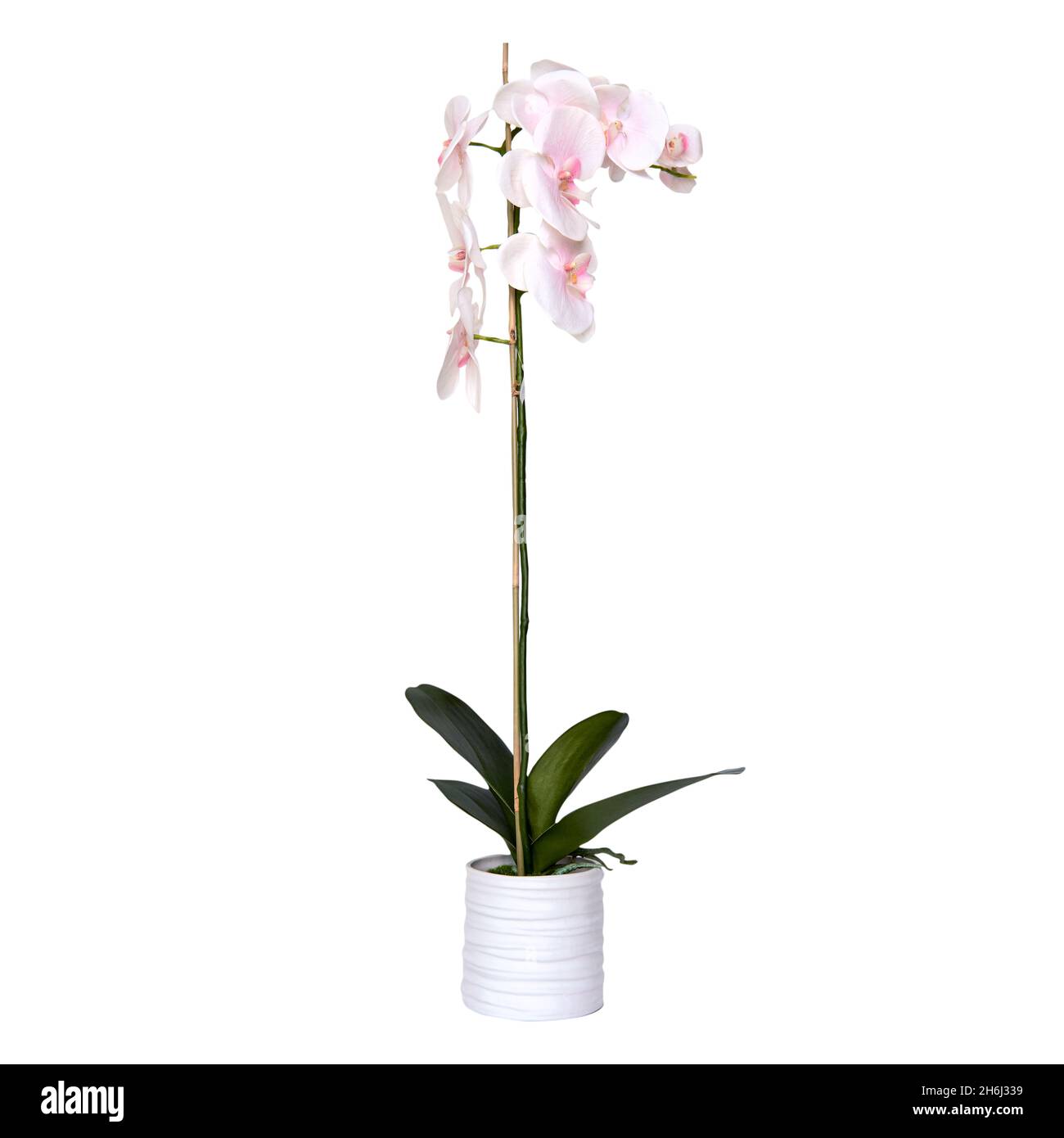 Vase en céramique décoratif.Belle disposition florale de l'af plante artificielle dans pot de fleur sur table en marbre gris clair.Design intérieur élégant Banque D'Images