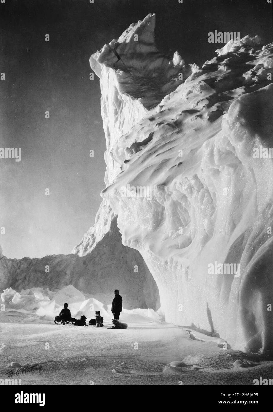 Une équipe de chiens reposant sur la glace pendant l'expédition du capitaine RF Scott (Scott de l'Antarctique) au pôle Sud Banque D'Images