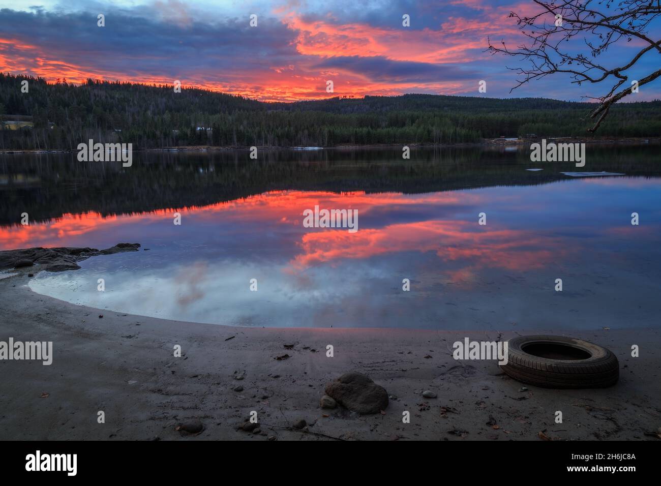 Le pneu et la rivière avec des reflets dans l'eau, arbres et de la mousse  Photo Stock - Alamy