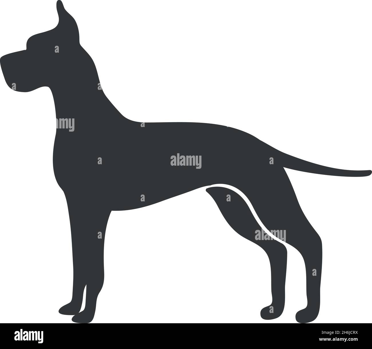 Superbe silhouette de danois.Groupe de chiens pinscher suisses, icône vectorielle isolée sur fond blanc Illustration de Vecteur
