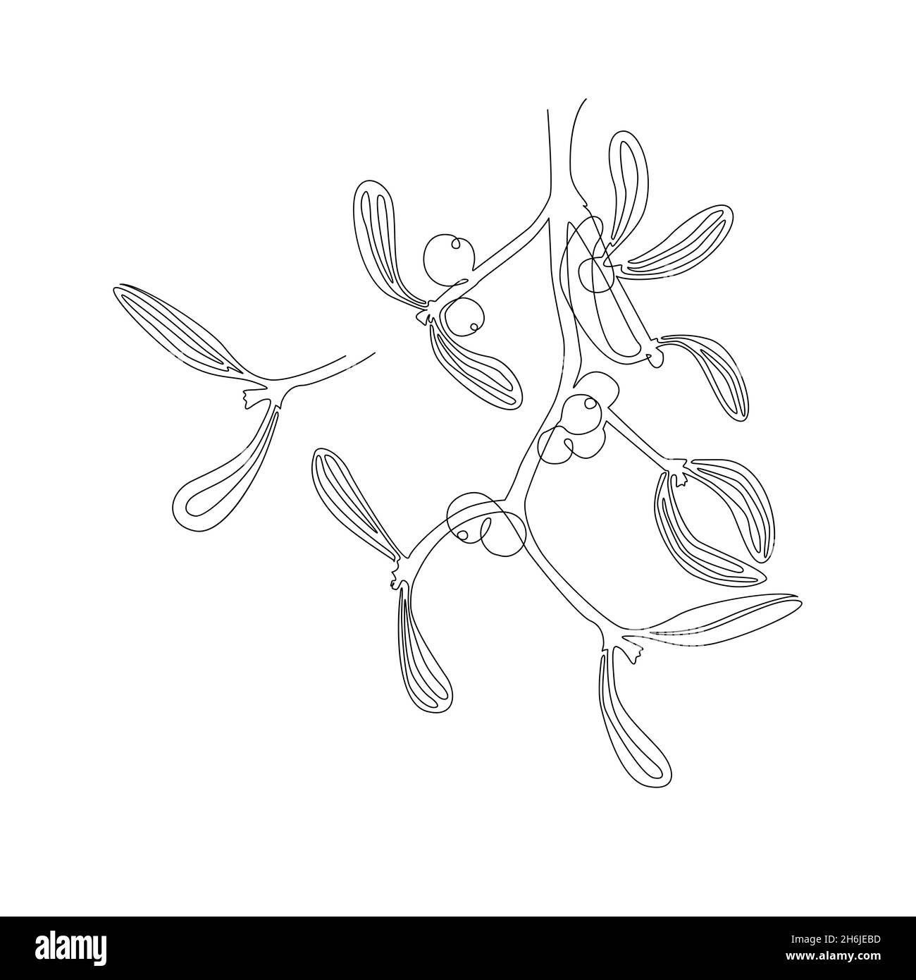 Une Ligne Continue De Dessin De Branche De Gui Avec Des Baies Art Abstrait Moderne A Une Ligne Contour Esthetique Carte De Noel Motif Imprime Vecteur Image Vectorielle Stock Alamy Une Ligne Continue De Dessin De Branche De Gui Avec Des Baies Art Abstrait Moderne A Une Ligne Contour Esthetique Carte De Noel Motif Imprime Vecteur Image Vectorielle Stock Alamy