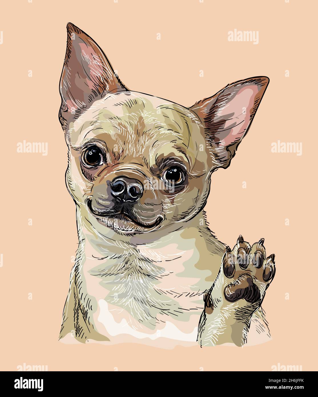 Chien chihuahua réaliste.Illustration de dessin à la main à vecteur de couleur isolée sur fond beige.Pour la décoration, le design, l'impression, les affiches, les cartes postales,bâton Illustration de Vecteur