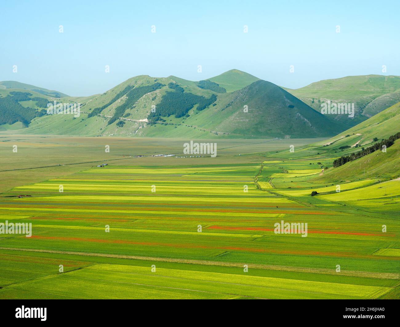 Les champs de lentilles colorés de Castelluccio di Norcia, Pérouse, Ombrie,  Italie, Europe Photo Stock - Alamy