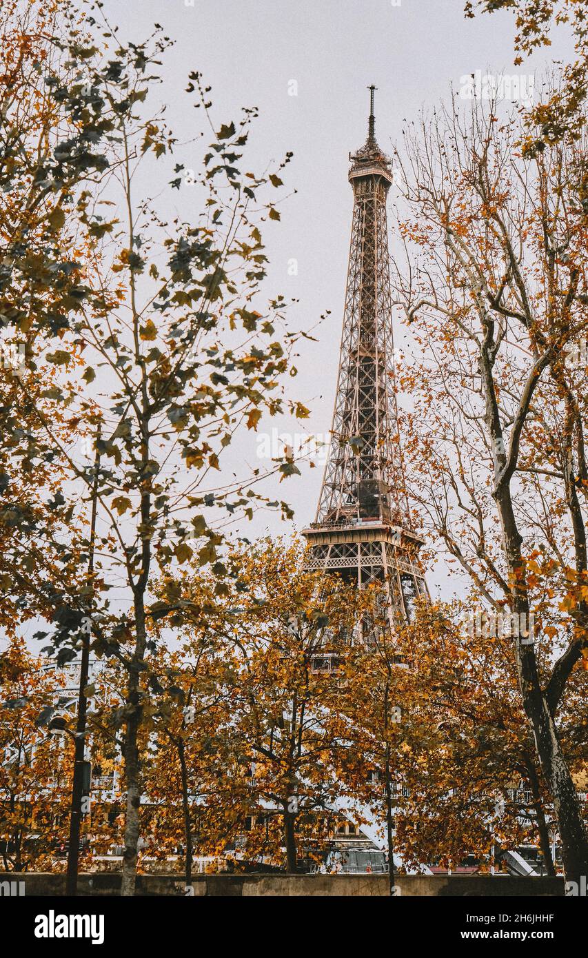 La Tour Eiffel en automne.Photo verticale Banque D'Images