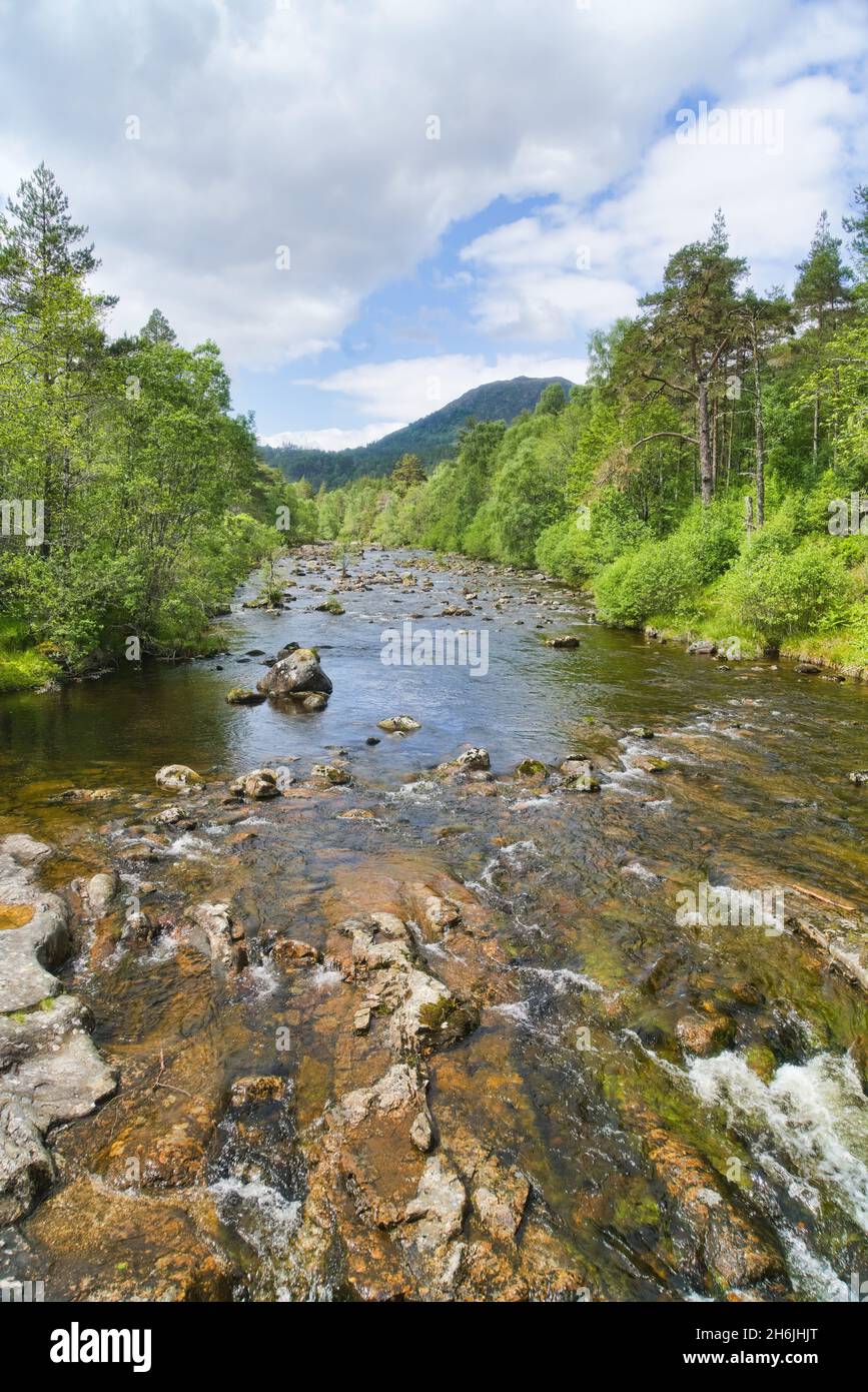 Rivière Affric à Glen Affric, en amont ouest, depuis le parking.Réserve naturelle nationale, Cannich, Inverness, Highland, Écosse,ROYAUME-UNI Banque D'Images