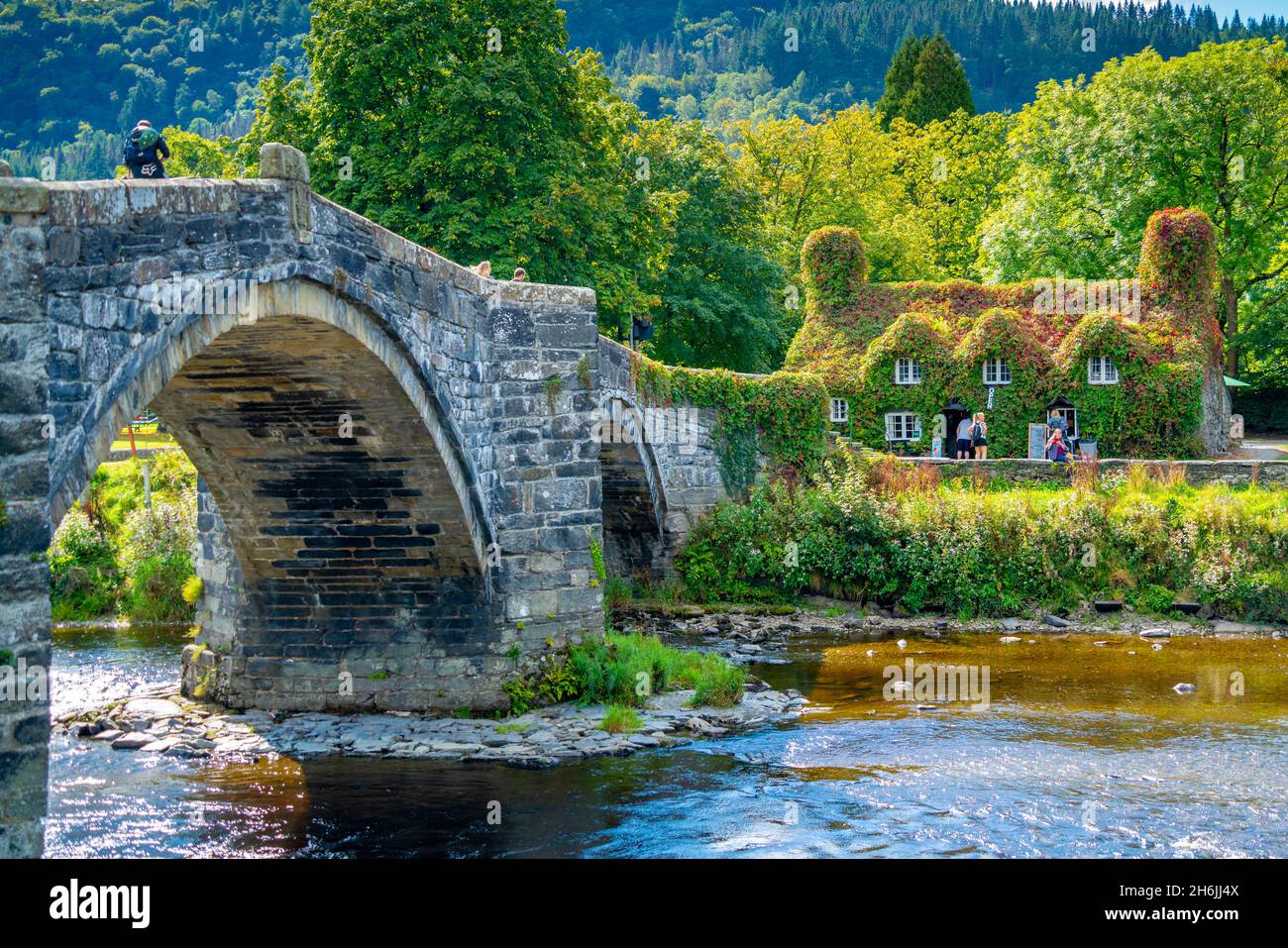 Vue sur le pont Fawr (pont Inigo Jones) sur la rivière Conwy et le café, Llanrwst, Clwyd, Snowdonia, Nord du pays de Galles,Royaume-Uni, Europe Banque D'Images