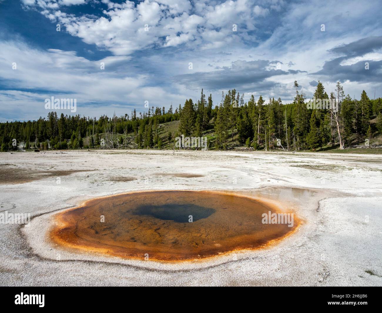 Piscine chromatique, dans la région du bassin de Norris Geyser, parc national de Yellowstone, site du patrimoine mondial de l'UNESCO, Wyoming, États-Unis d'Amérique Banque D'Images