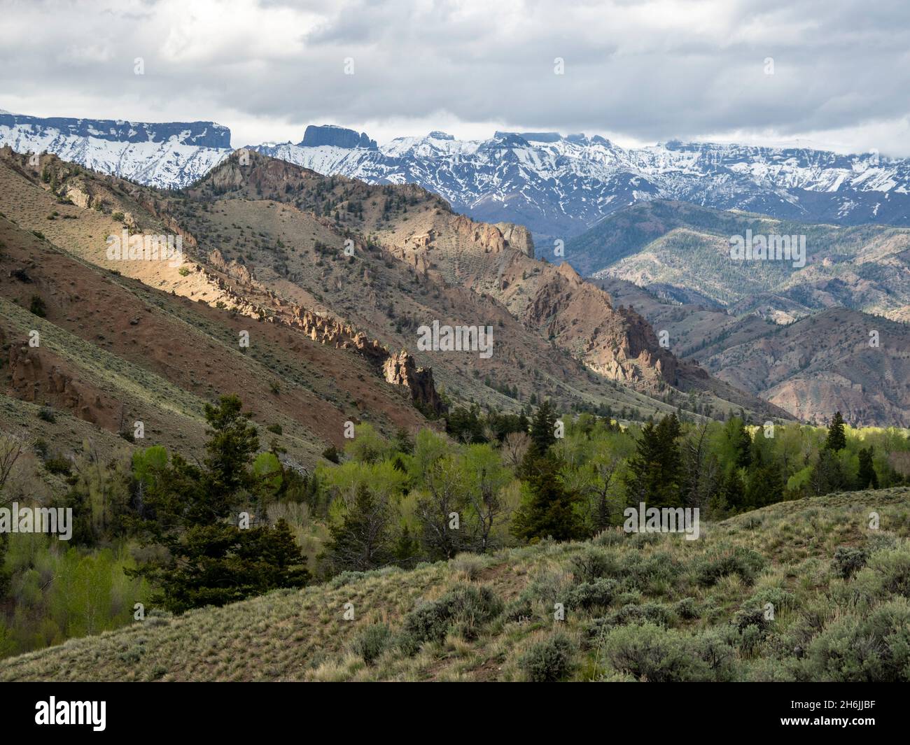 La région sauvage de Washakie dans la forêt nationale de Shoshone, Wyoming, États-Unis d'Amérique, Amérique du Nord Banque D'Images