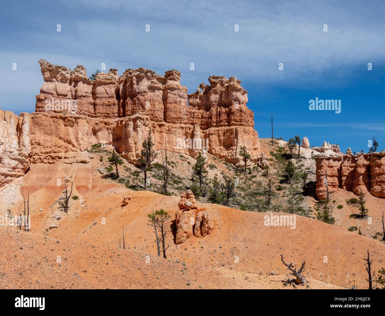 Vue sur les zoos depuis le sentier Fairyland, dans le parc national de Bryce Canyon, Utah, États-Unis d'Amérique, Amérique du Nord Banque D'Images