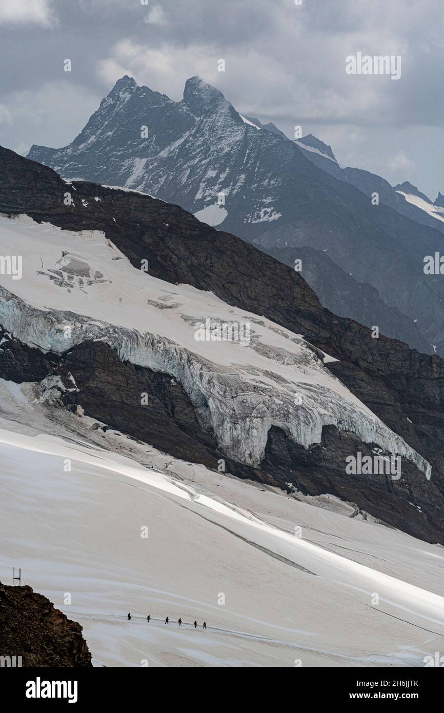 Randonneurs sur le glacier d'Aletsch depuis la Jungfraujoch, Alpes bernoises, Suisse, Europe Banque D'Images