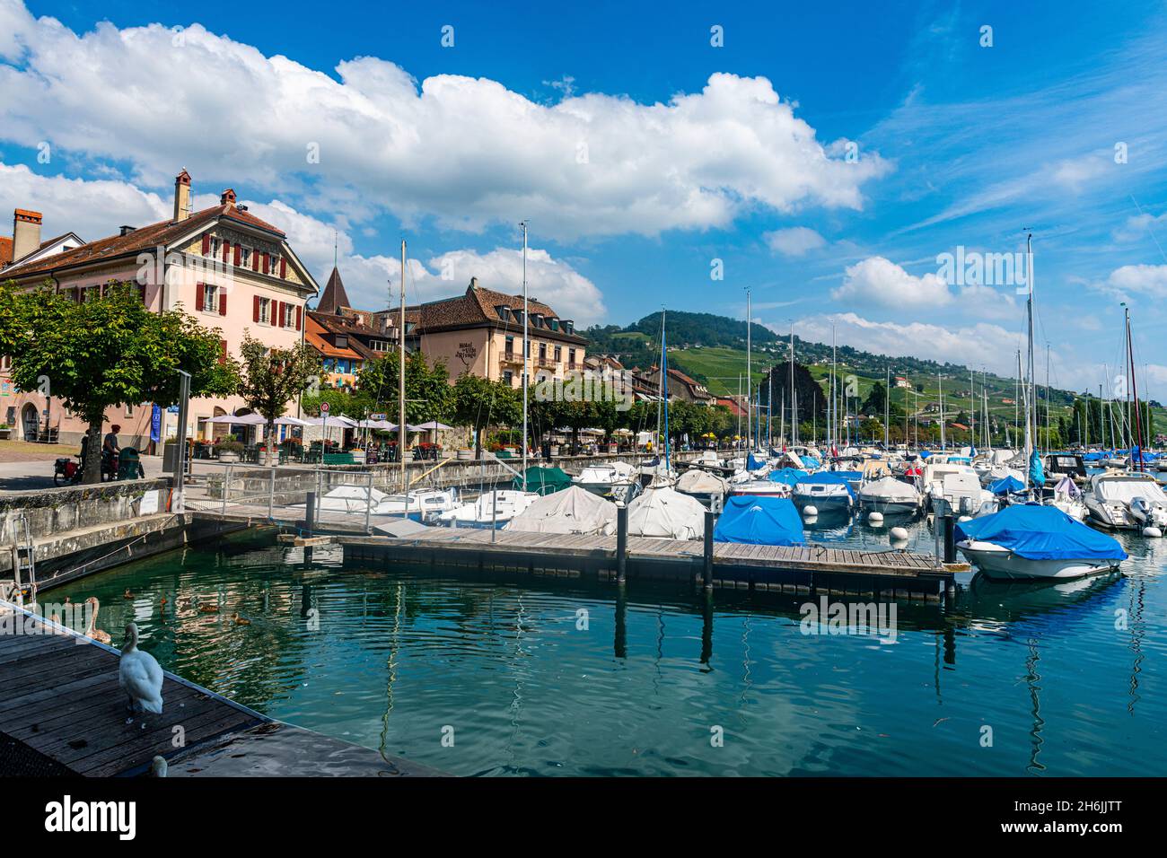 Ville historique de Lutry dans la région des terrasses du vignoble de Lavaux, site classé au patrimoine mondial de l'UNESCO, Lac de Genève, Suisse, Europe Banque D'Images