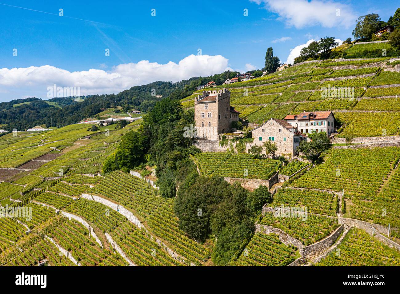 Terrasse aérienne du vignoble de Lavaux, site classé au patrimoine mondial de l'UNESCO, Lac de Genève, Suisse, Europe Banque D'Images