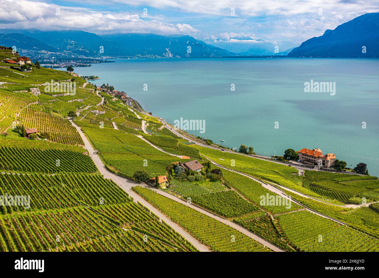 Terrasses de l'AERIAL of Lavaux Vineyard, site classé au patrimoine mondial de l'UNESCO, Lac Léman, Suisse, Europe Banque D'Images