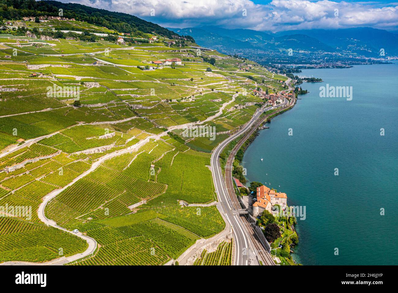 Terrasse aérienne du vignoble de Lavaux, site classé au patrimoine mondial de l'UNESCO, Lac de Genève, Suisse, Europe Banque D'Images
