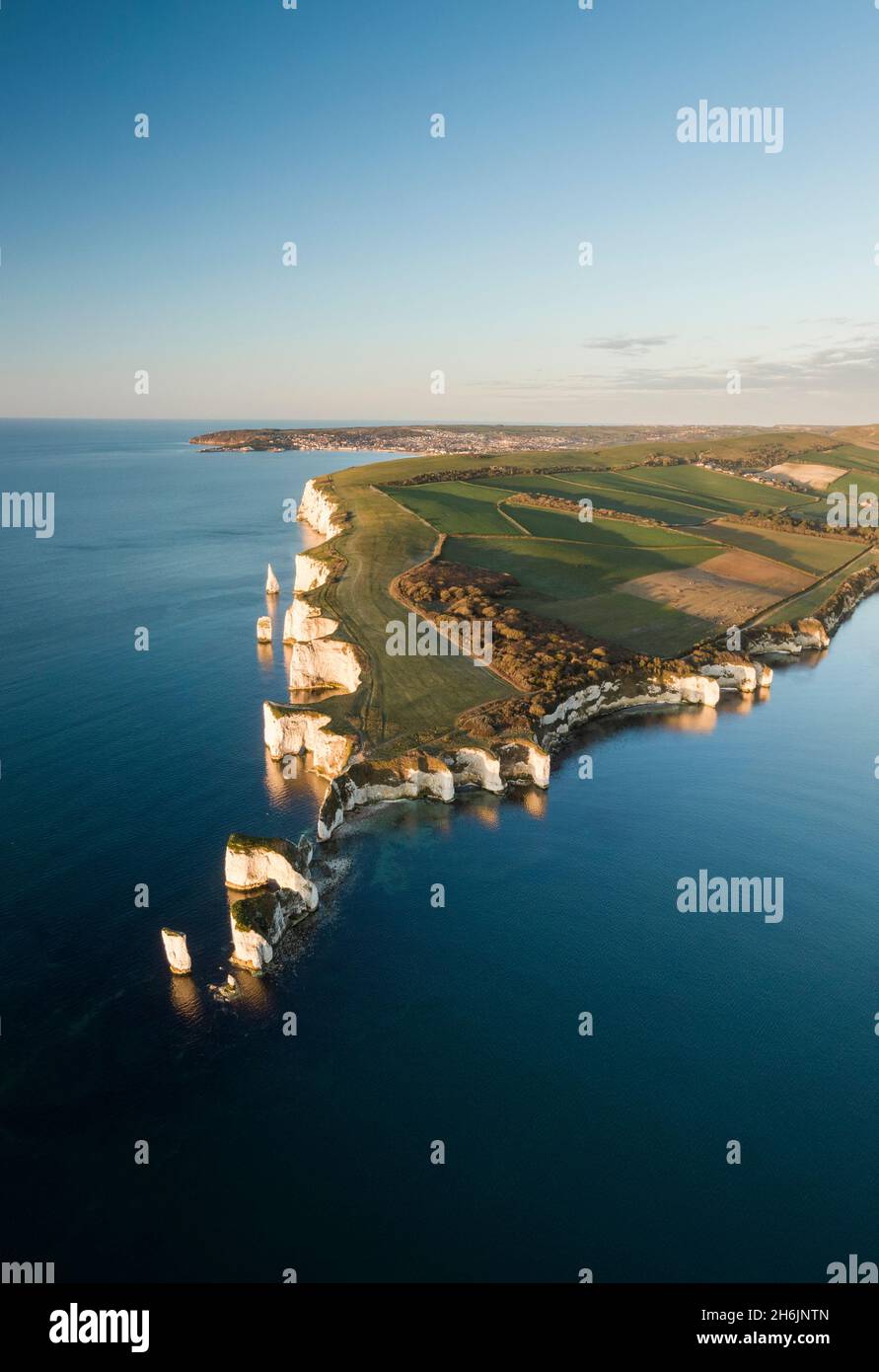 Old Harry Rocks, Jurassic Coast, site classé au patrimoine mondial de l'UNESCO, Dorset, Angleterre, Royaume-Uni, Europe Banque D'Images