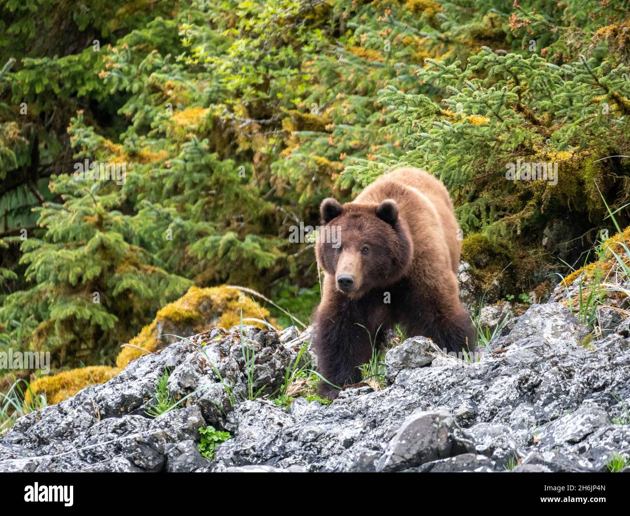 Eva Lake Banque De Photographies Et D images Haute R solution Alamy eva-lake-banque-de-photographies-et-d-images-haute-r-solution-alamy
