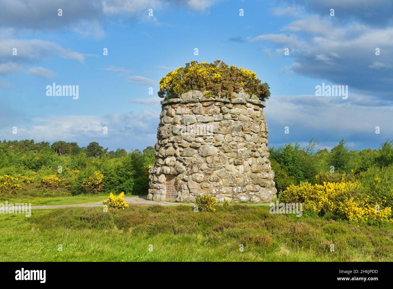 Champ de bataille de Culloden, Cairn, monument, Gorse brillant, ciel bleu,Inverness, Highland, Écosse, Royaume-Uni Banque D'Images
