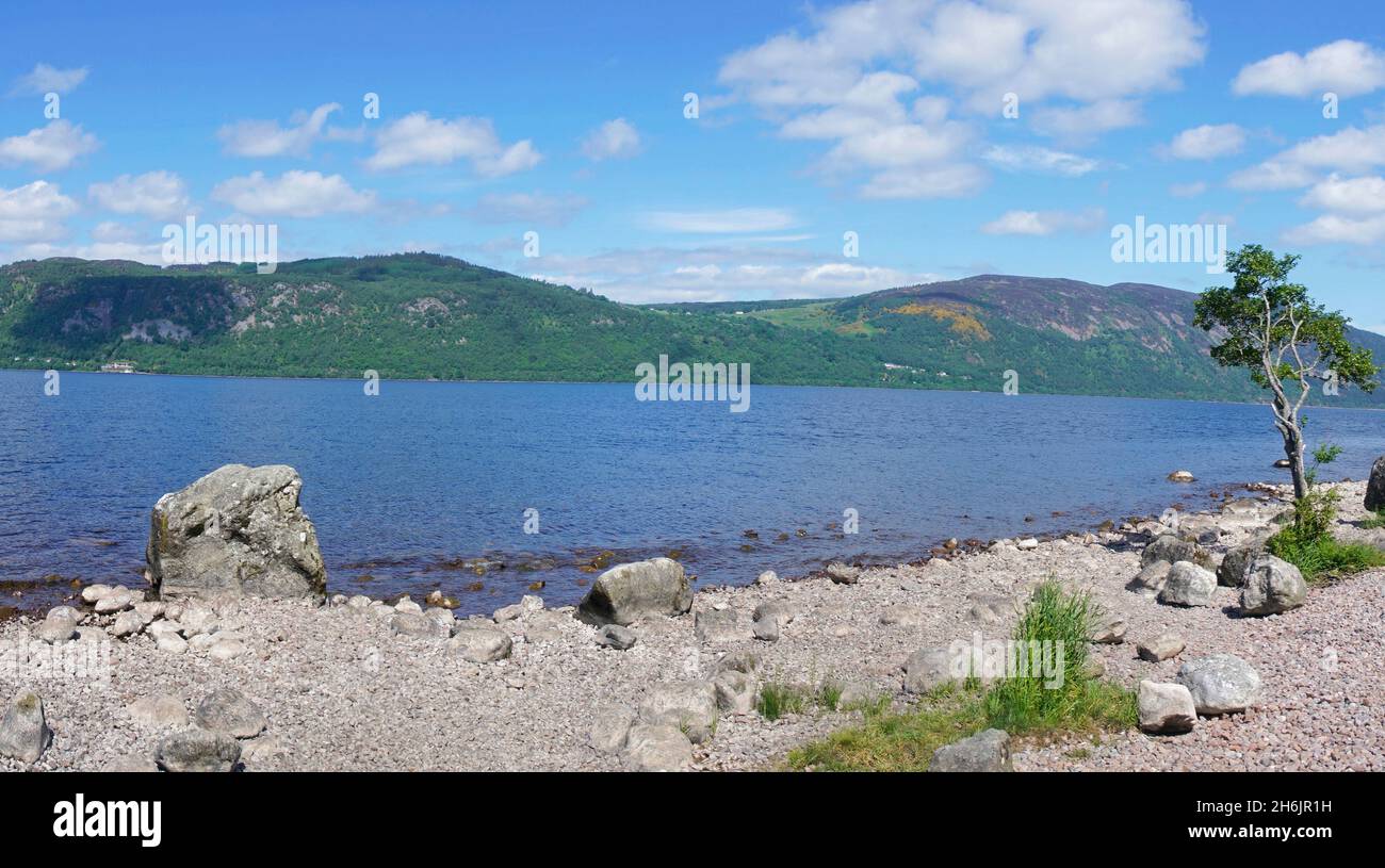 PANORAMA, Loch Ness, vue sur le loch, près de Dores, belle journée ensoleillée,secret côté sud du loch, touristique, arbre suspendu, sentier, promenade,c'est-à-dire Banque D'Images