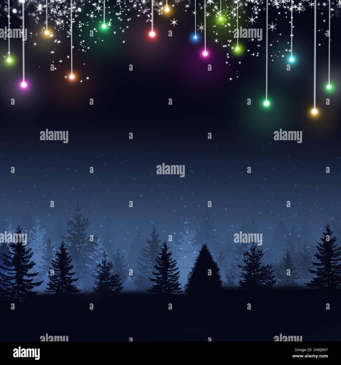 lumières de noël multicolores dans le bois avec de la neige la nuit Banque D'Images