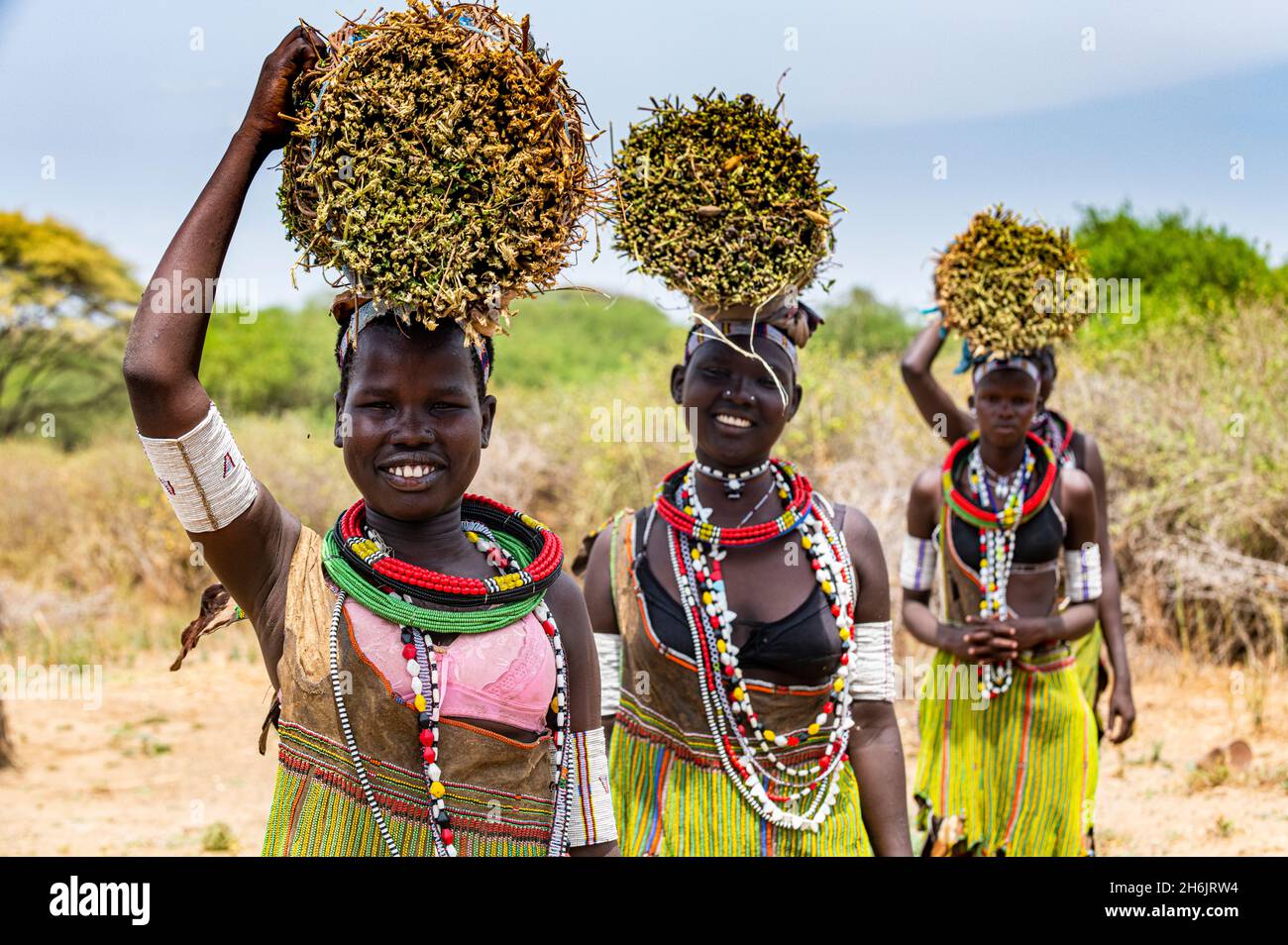 Filles avec des roseaux sur leur tête sur leur chemin de retour à la maison, la tribu Toposa, Equatoria de l'est, Soudan du Sud, Afrique Banque D'Images