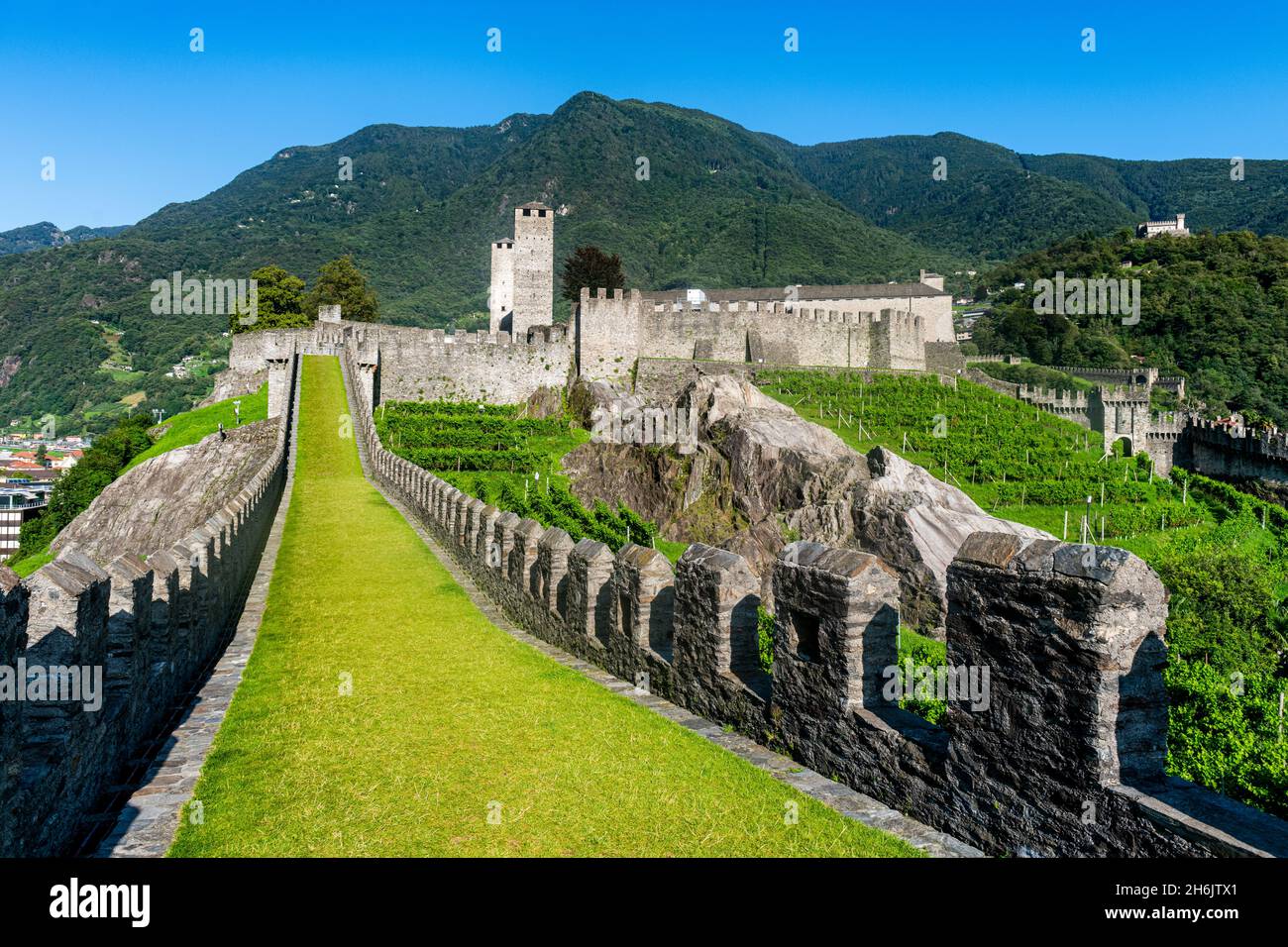 Vignobles de Castelgrande, trois châteaux de Bellinzona site classé au patrimoine mondial de l'UNESCO, Tessin, Suisse, Europe Banque D'Images