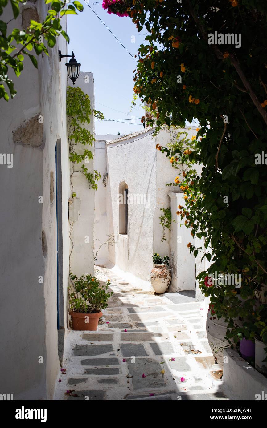 Maison traditionnelle blanchie à la chaux à Chora, Serifos, Cyclades, Iles grecques, Grèce, Europe Banque D'Images